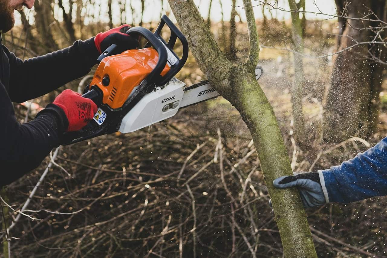 Landscaping & Tree Surgery work on a UK construction site
